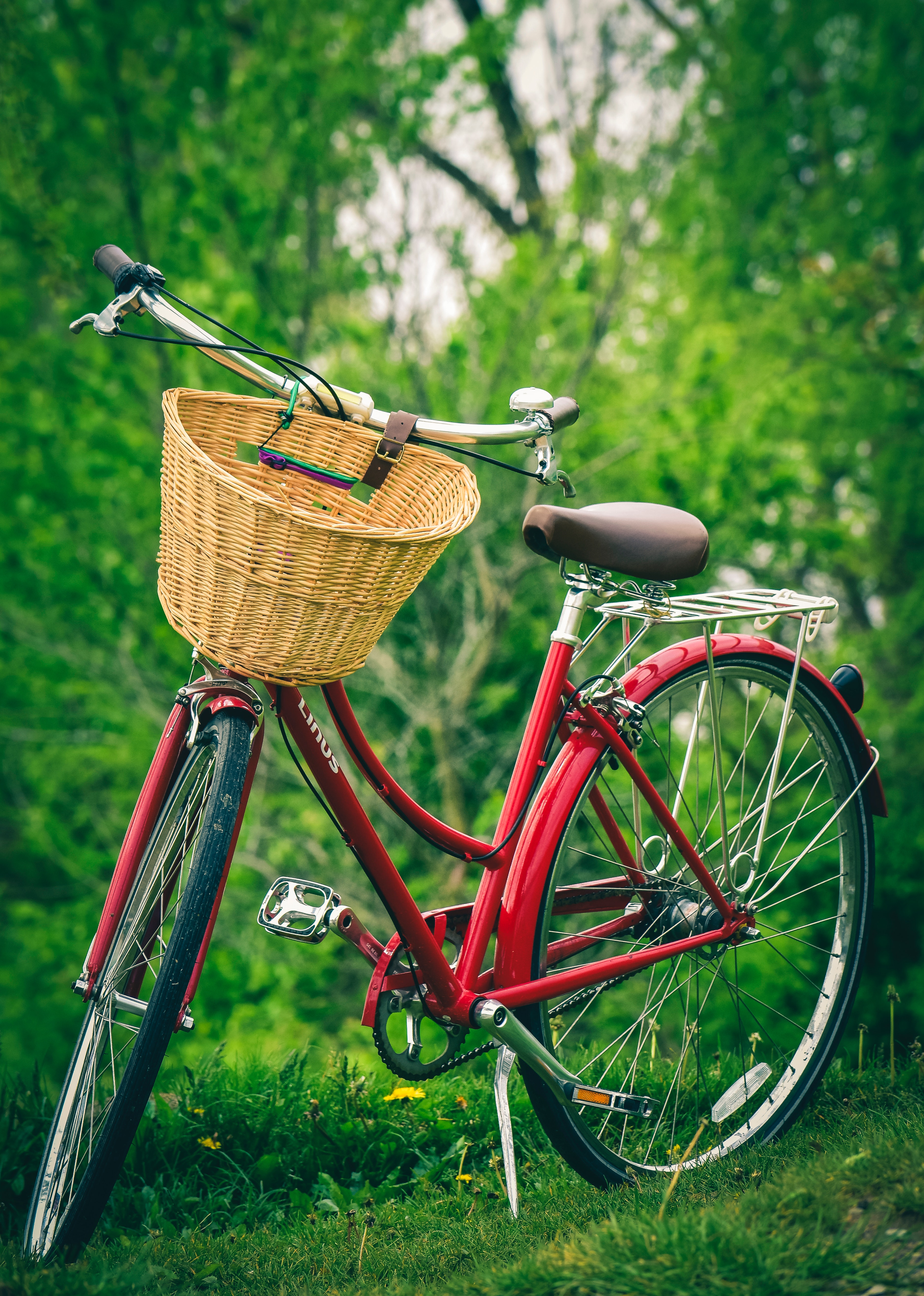 Image of bike 2
